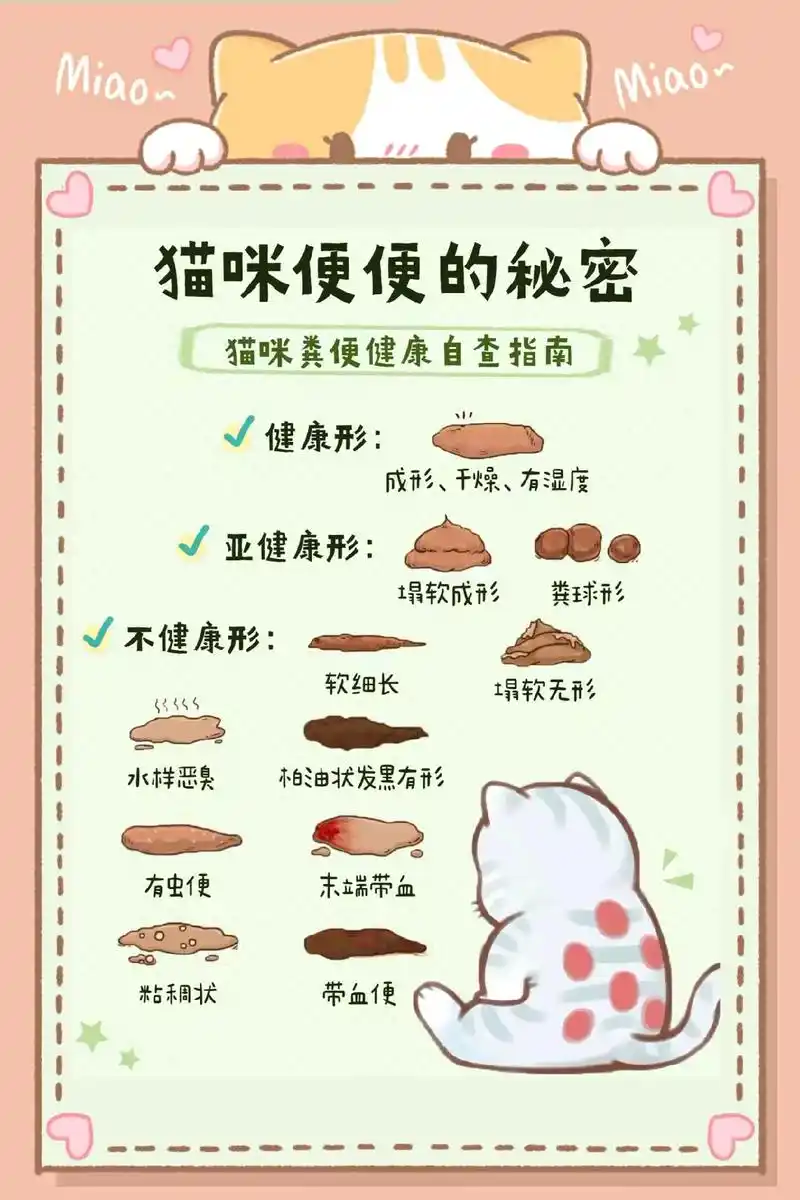 猫咪便便健康自查#猫咪 #养猫知识 #新手养猫 #干货 #猫 - 抖音