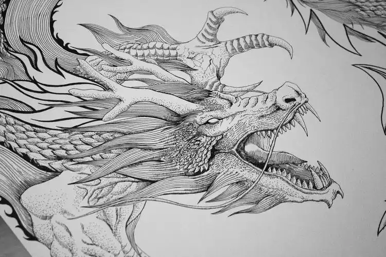 水笔绘龙|插画|商业插画|守望者swangzhe - 原创作品 - 站酷 (zcool)