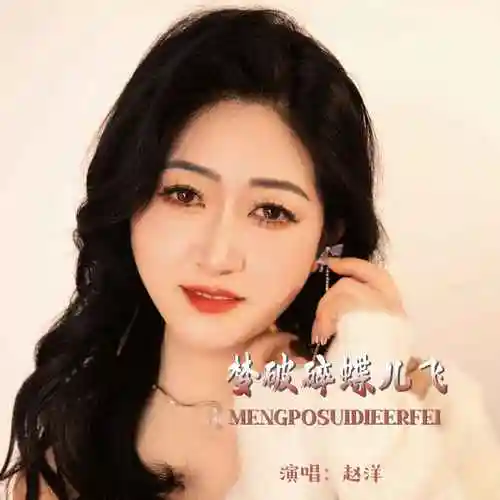 赵洋梦破碎蝶儿飞