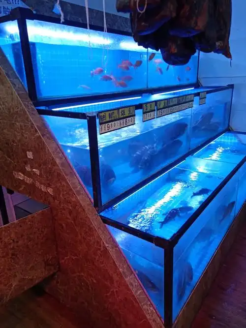 成品玻璃鱼缸 永州饭店暂养鱼缸维修