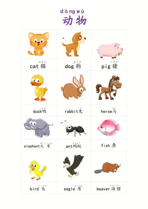 幼儿学生英语单词卡片动物图片英语拼音