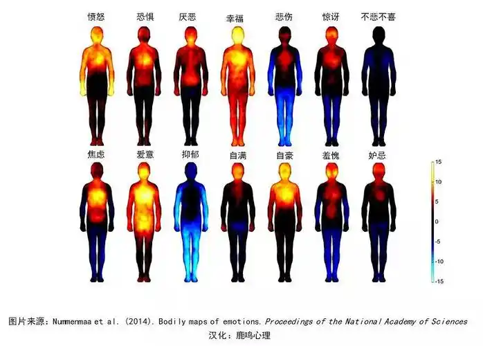 情绪的觉察,识别,以及释放