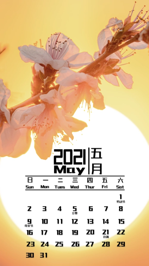 五月日历壁纸请查收_东北林业大学_零二七艺考