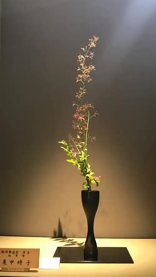 与花儿对望——池坊·生花(六)