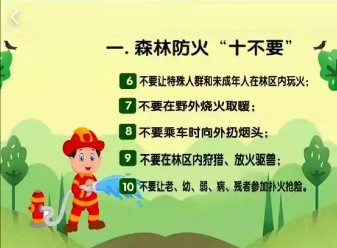 "森林防火"安全主题教育 写美篇     明白了这些预防森林火灾的小知识