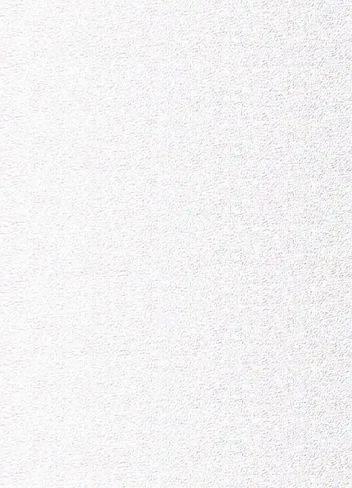 银白色纸,正反面皆有炫亮金属 质感,印刷成品具有光泽感.