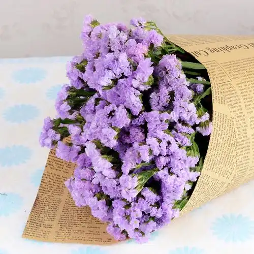 云南勿忘我干花花束家居摆设清新客厅干花