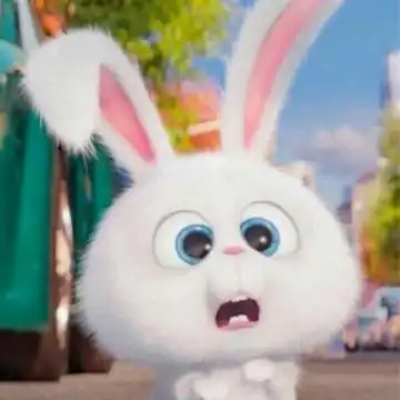 邪恶的小白兔搞怪表情