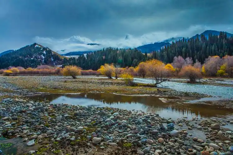 新疆巩乃斯的秋色风景图片新疆巩乃斯
