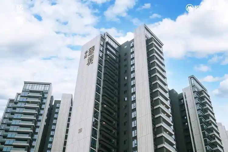 兑现美好生活|细数招商半山臻境交付现场的4大贴心细节_业主_太子湾