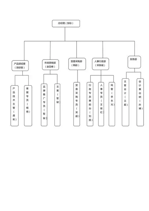 外贸公司初期组织架构_第1页