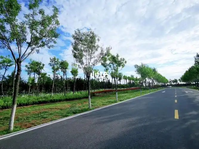 青岛小众公园打卡-白泥地公园_小众_白泥_白泥地公园_青岛北站_美食