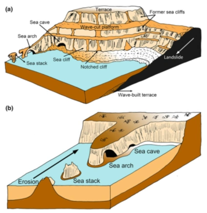 (a)海蚀阶地(先前的海蚀崖);(b)海蚀洞穴,海蚀桥及海蚀(引自文献2)