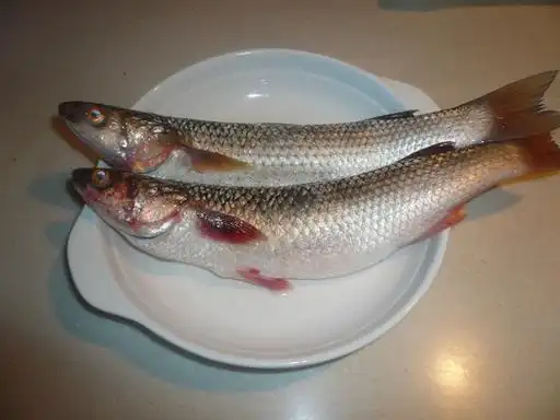 清蒸梭鱼的做法大全