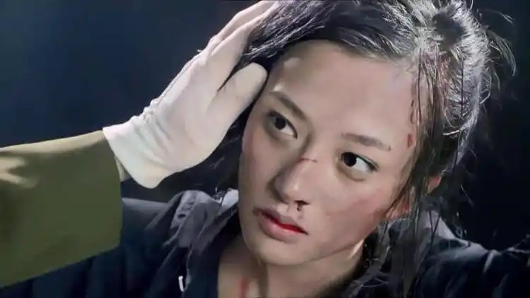 黑狐之风影:文渊说这件事情自己也有责任,一定会想办法救出美珍