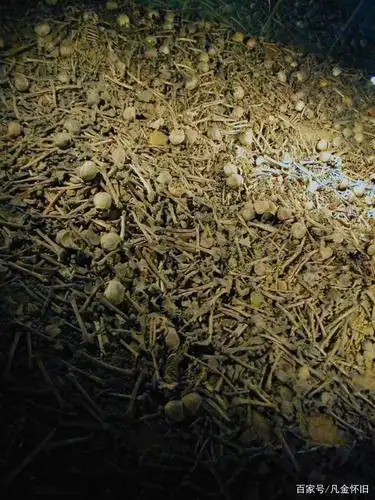 鹤岗的万人坑,记录日军对的残酷行径