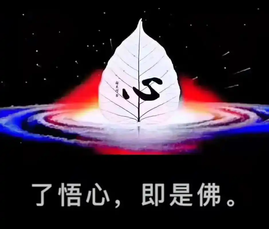 不出法尘 皆是影事.开悟的楞严 成佛的法华 人之所以被冤枉轮 - 抖音