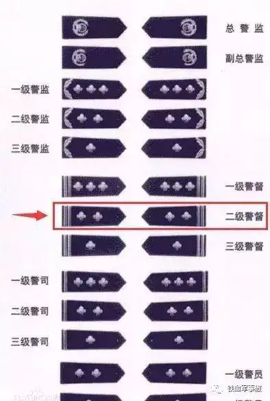 解读肩章上两杆两星是什么级别的警察一般担任这个职务