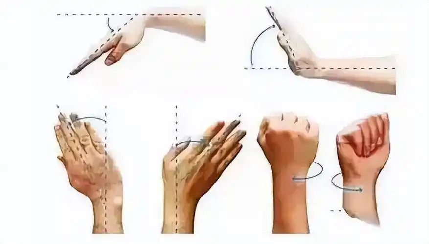 手掌撑地,腕关节过度背伸,前臂旋前等扭转挤压的暴力致伤