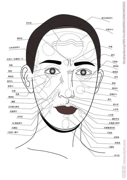 面雕部位示意图图片