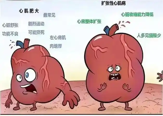 患者9897明,先天性心脏病,法洛四联症,心脏病严重三期,东 - 抖音