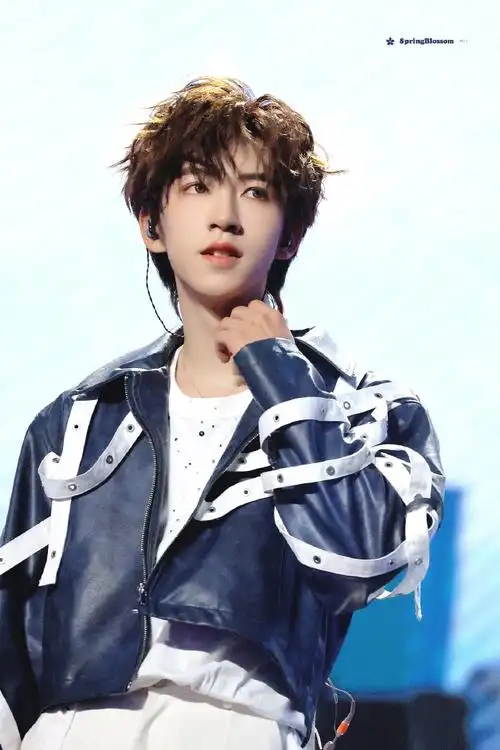 贺峻霖 梦蝶破笼##贺峻霖饭撒小天使##时代少年团叁重楼暨出道四帜觋