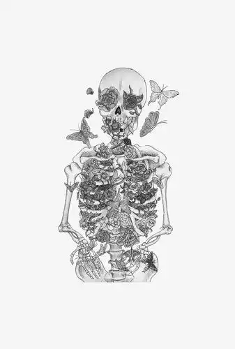 手绘素描骷髅
