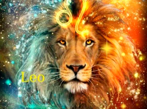 狮子座就和它的名字一样比较强势霸气,而且狮子座是一个爱憎分明的