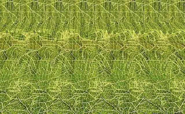 开启交叉眼看3d图,打开另一个奇幻世界_牙签_效果_眼睛