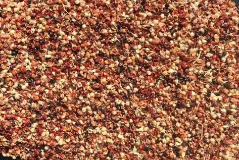 宏荞分享高粱壳的营养及药用价值