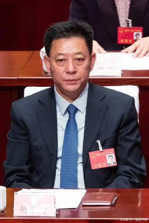 接受韩俊辞去吉林省省长职务的请求,并任命胡玉亭为吉林省副省长,代