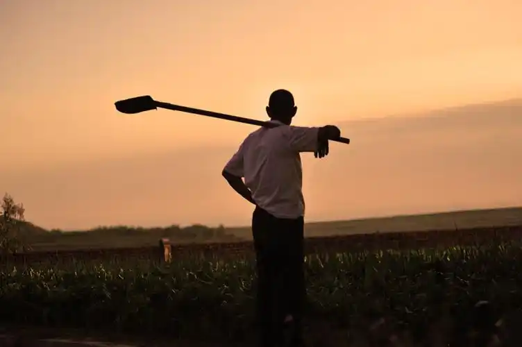 父亲的背影|哪张图最令你感动