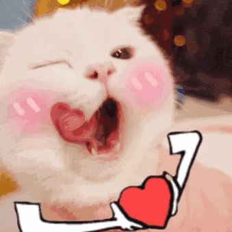 明白明白我懂啦库洛米表情包系列