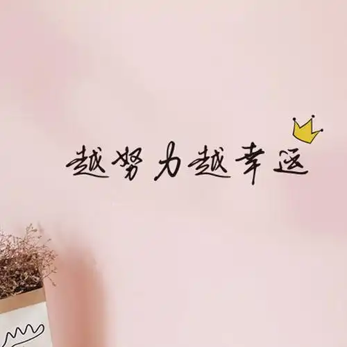 共199 件越努力越幸运墙贴相关商品