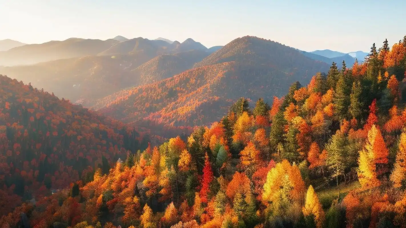 大地彩绘风景壁纸,美到窒息92