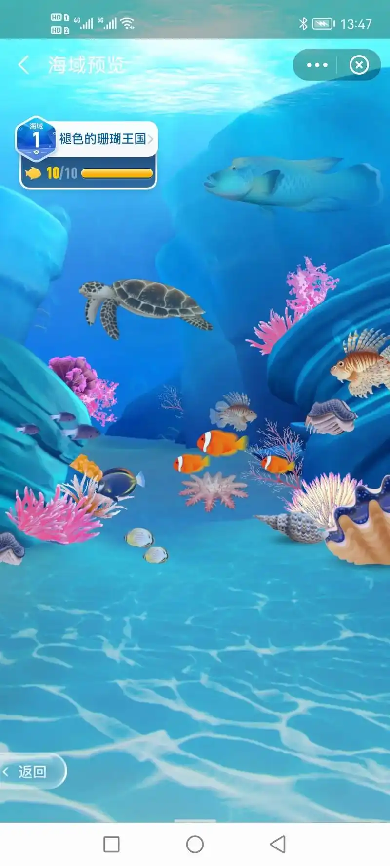 白海豚之歌 这里水质没那么清澈,海下堆积着沙坡,但温暖 第 - 抖音