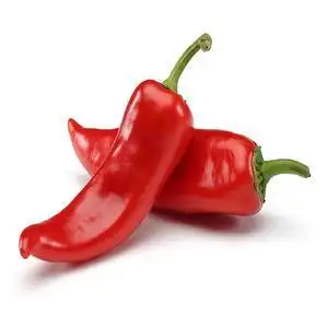 fresh red chili pepper for sale
