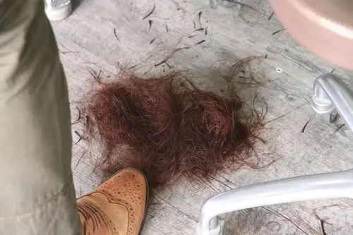 看那些落地的头发超恐怖