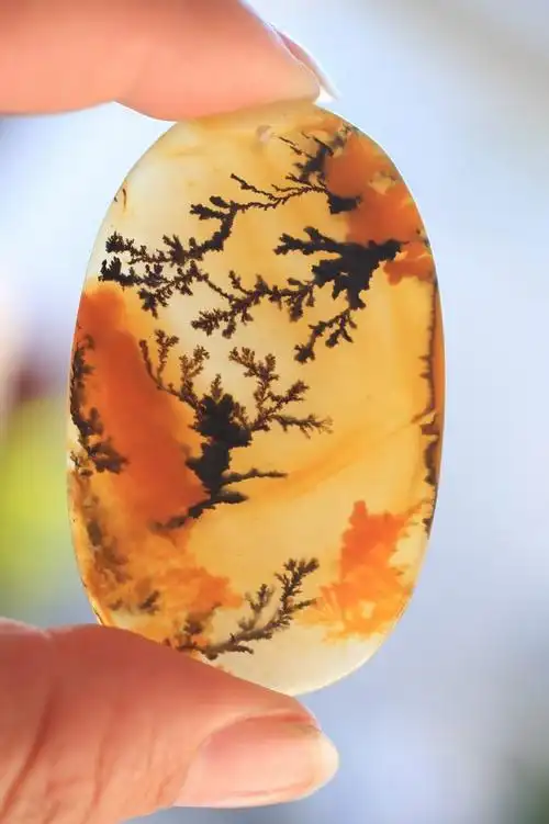 黄龙玉水草花欣赏