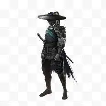 中国风戴斗笠的水墨剑客