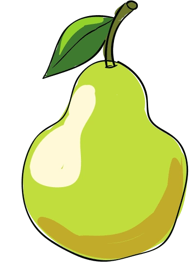 sketch pear illustration - 素材 - canva可画