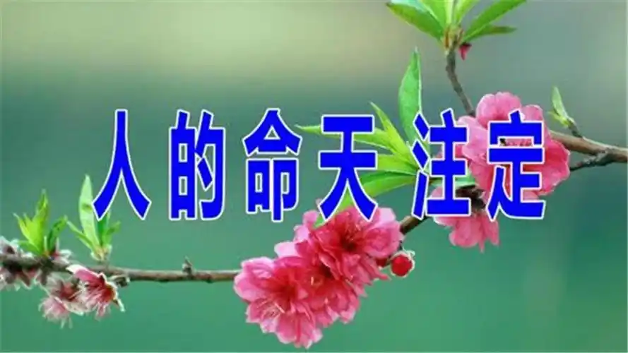 人的命天注定