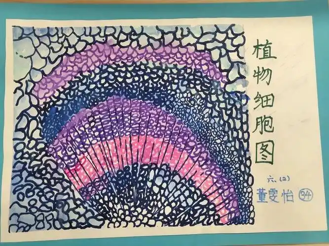 校园新闻微观世界太精彩