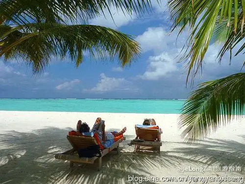 马尔代夫 在沙滩椅上休闲的人 享受阳光的人 沙滩 风光 大海, 胡来