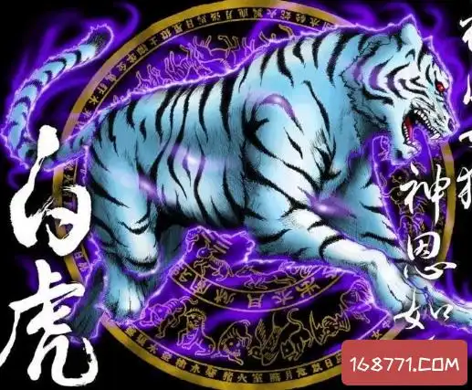 上古四大神兽:青龙白虎玄武朱雀竟是风水大师