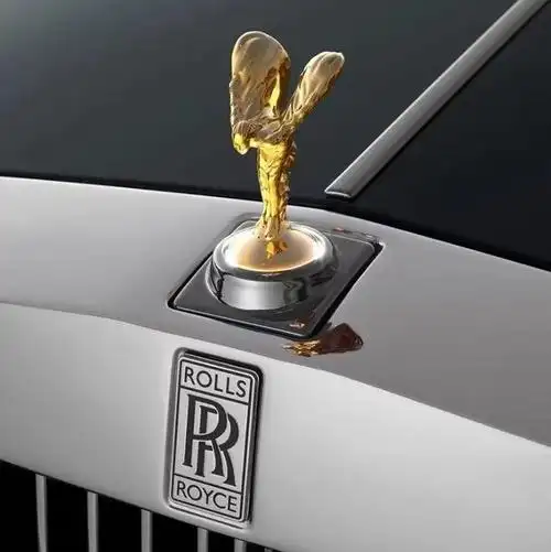 熊孩子掰断劳斯莱斯小金人,车主索赔24万,家长:你想钱想疯了|车标|豪