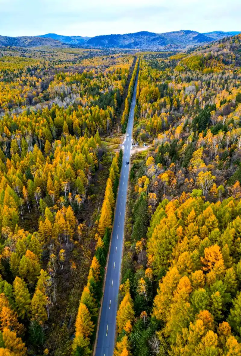 93伊春小兴安岭五花山之旅94 93秋天,是伊春小兴安岭最美的季节