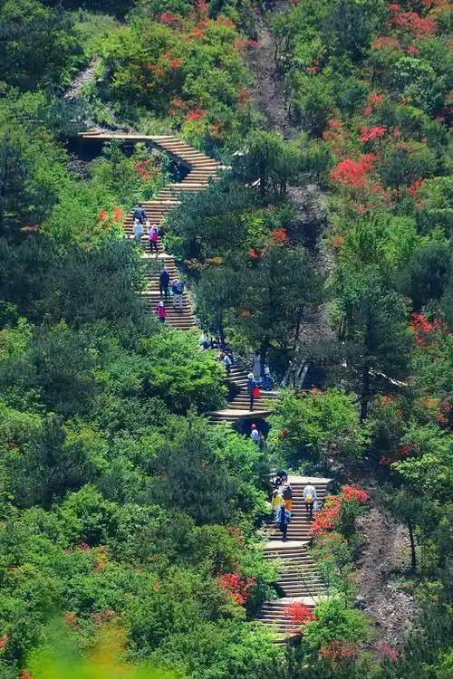 "四海奇观 六合同春"龙游六春湖全国旅游摄影大展入展作品—中国摄影