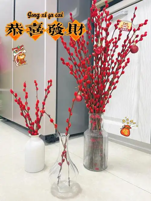 期间买了40支60cm的银柳20多块钱就让家里有了喜庆感93银柳不用水养