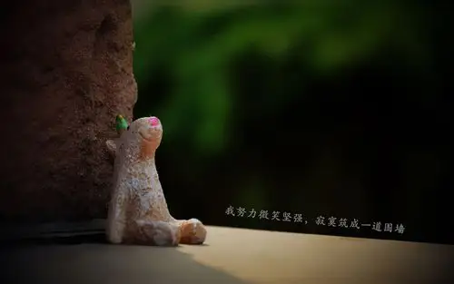 安静地等待爱情文字高清壁纸